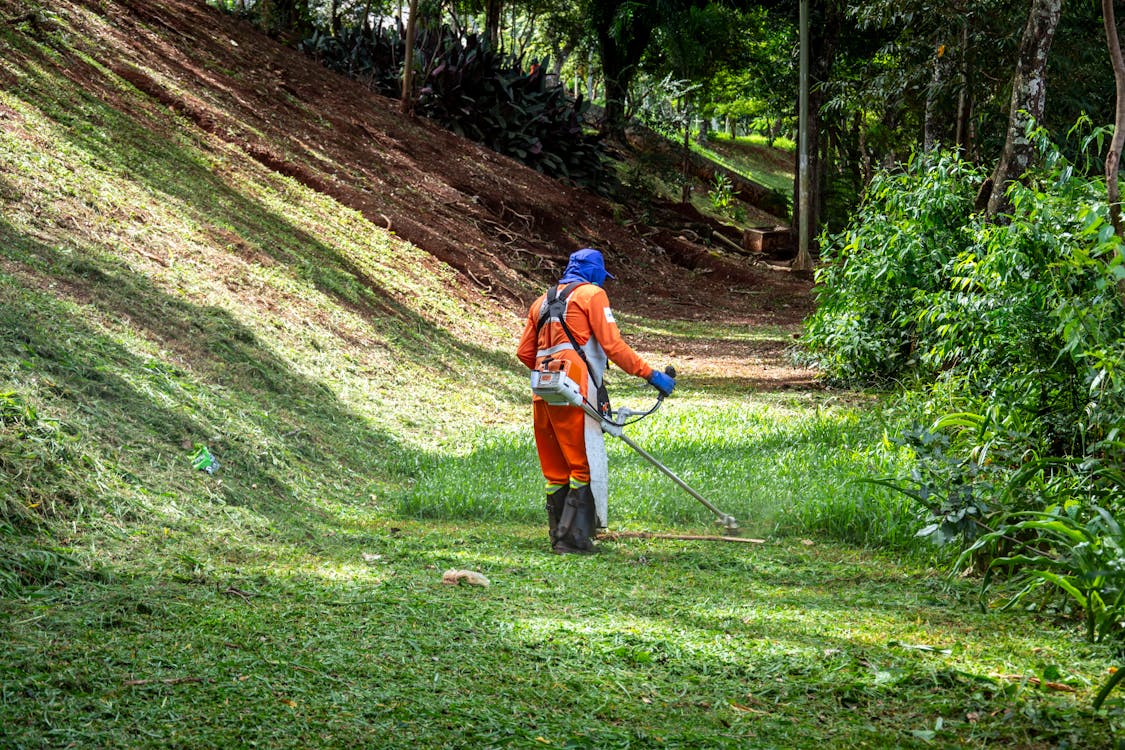 Jardinería y mantenimiento de áreas verdes de interclean